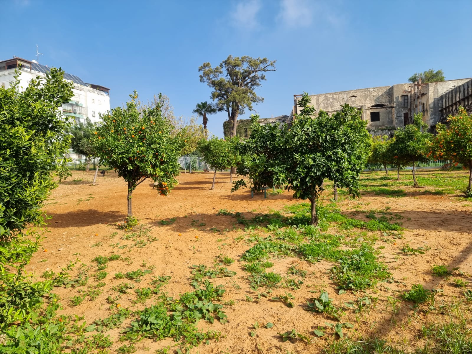 WhatsApp Image 2022-01-08 at 1.29.39 PM (1).jpeg